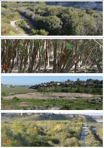 Big Canyon - site photos
