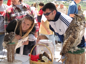 education-outreach-earthday Earth Day Birds of Prey