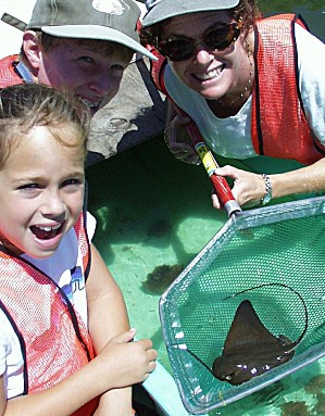 education-science-center-program Shark Camp