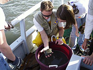 facilities-bbsc-outdoor-facilities-onboard Fish caught in bottom trawl