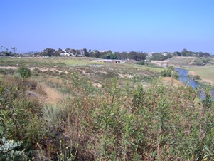 IM000313.JPG Uplands of Upper Newport Bay
