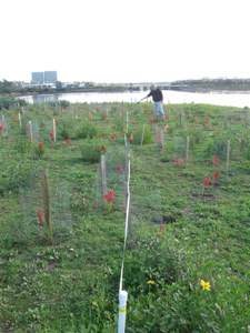 projects-tracking-transect