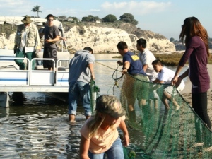 reseaarch-marine-life-surveys Net used for beach seine