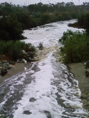 watershed-management-san-diego-creek San Diego Creek after the rain